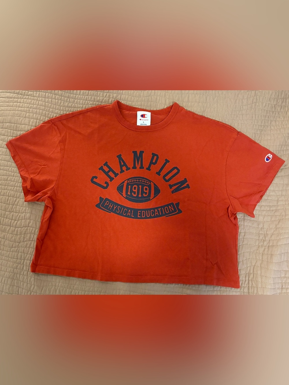 Champion Rec Center Cropped T-Shirt - Red and Blue Sz L - Only worn once